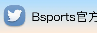 Bsports官方网站登录入口 Logo